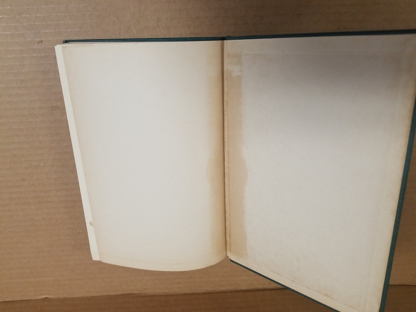 Don Quixote De La Mancha by Miguel De Cervantes Saavedra 1941 Ed HC Illustrated